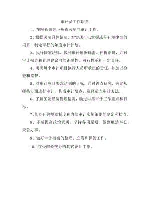 审计员工作职责.docx