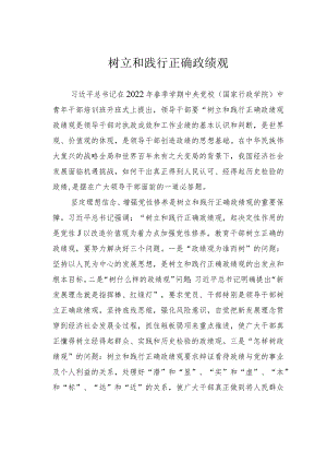 树立和践行正确政绩观.docx