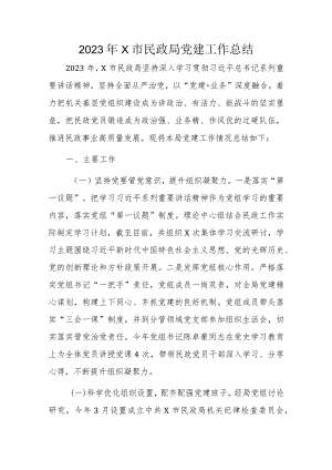 2023年X市民政局党建工作总结.docx