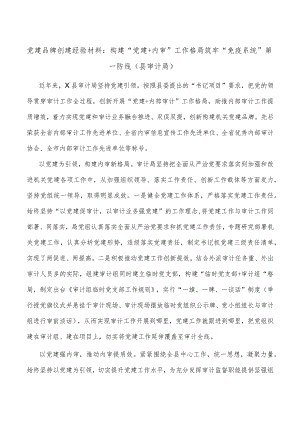党建品牌创建经验材料构建“党建+内审”工作格局筑牢“免疫系统”第一防线（县审计局）.docx