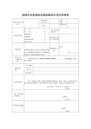 铜陵市实施商标品牌战略奖补项目申报表.docx