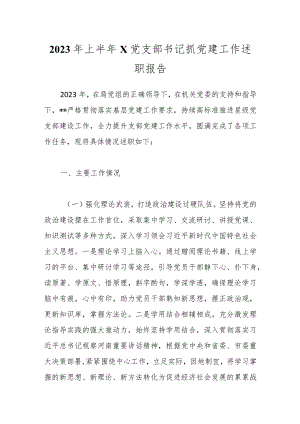 2023年上半年X党支部书记抓党建工作述职报告.docx
