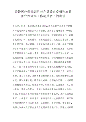 分管医疗保障副县长在县委巡察组巡察县医疗保障局工作动员会上的讲话.docx