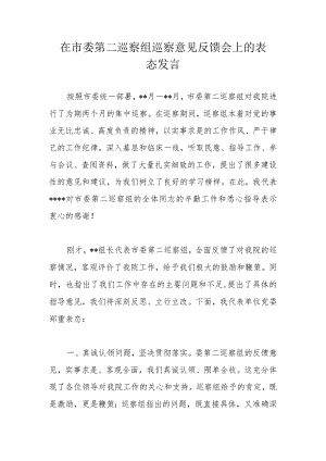 在市委第二巡察组巡察意见反馈会上的表态发言.docx