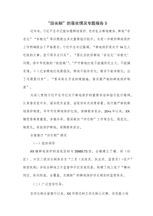 “田长制”的落实情况专题报告五.docx
