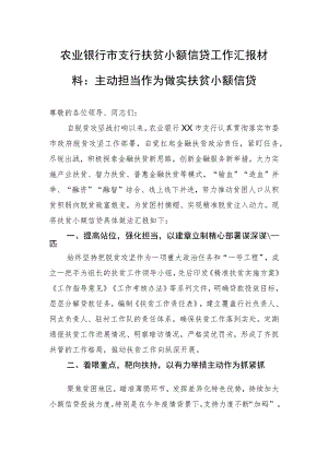 农业银行市支行扶贫小额信贷工作汇报.docx