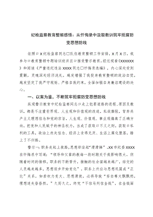 纪检监察教育整顿感悟：从忏悔录中汲取教训筑牢拒腐防变思想防线.docx