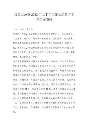 县委办公室2023年上半年工作总结及下半年工作安排.docx