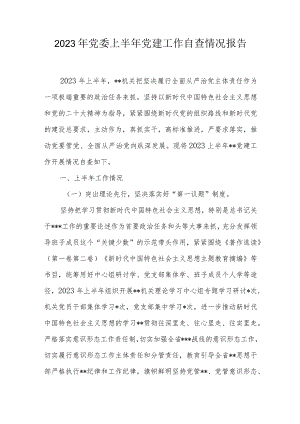 2023年党委上半年党建工作自查情况报告.docx