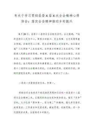 有关于学习贯彻县委X届X次全会精神心得体会：落实全会精神推动乡村振兴.docx