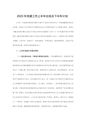 2023年党建工作上半年总结及下半年计划.docx