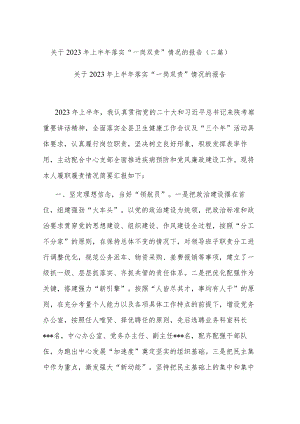 关于2023年上半年落实“一岗双责”情况的报告(二篇).docx