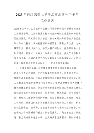 2023年的组织部上半年工作总结和下半年工作计划.docx