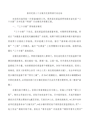 落实纪委三个方案及纪委两清行动总结.docx