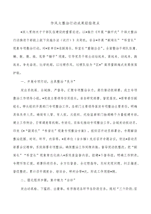 作风大整治行动成果经验亮点.docx