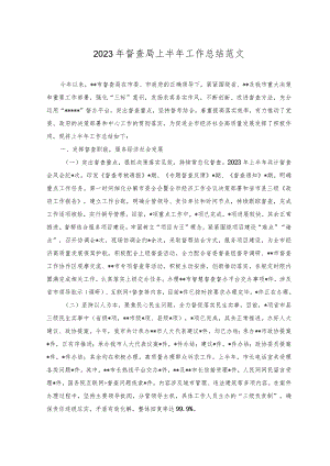 2023年督查局上半年工作总结范文.docx