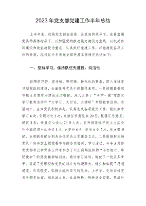 2023年党支部党建工作半年总结.docx