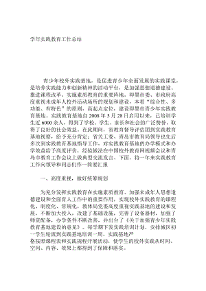 学年实践教育工作总结.docx