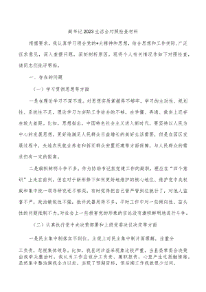 副书记2023生活会对照检查材料.docx