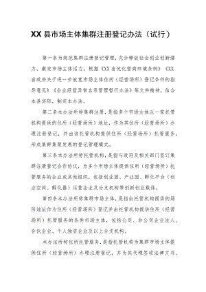 XX县市场主体集群注册登记办法.docx
