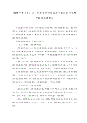 （2篇）2023年市纪委监委纪检监察干部队伍检视整改经验总结材料（附研讨发言材料）.docx