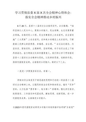 学习贯彻县委X届X次全会精神心得体会：落实全会精神推动乡村振兴.docx