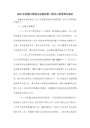 2023年履行推进法治建设第一责任人职责情况报告.docx