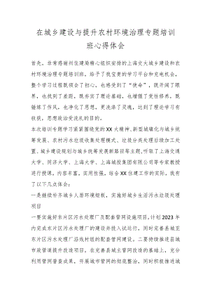 在城乡建设与提升农村环境治理专题培训班心得体会.docx