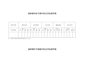 逍林镇村班子届中民主评议测评表.docx