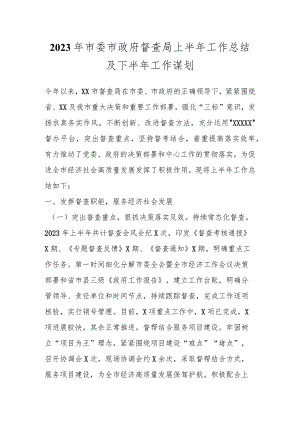 2023年市委市政府督查局上半年工作总结及下半年工作谋划.docx
