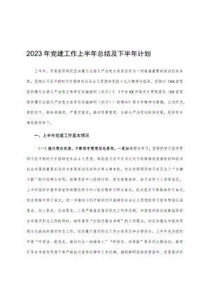 2023年党建工作上半年总结及下半年计划.docx
