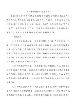 作风建设检视个人发言提纲.docx