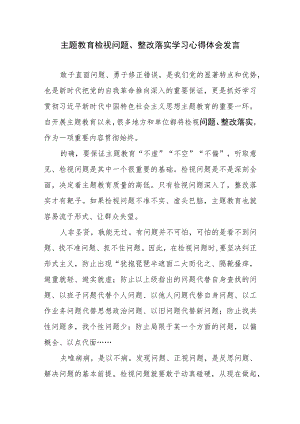 主题教育检视问题、整改落实学习心得体会发言.docx