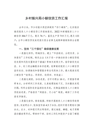 乡村振兴局小额信贷工作汇报.docx