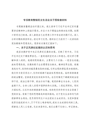 专项教育整顿民主生活会对照检查材料.docx