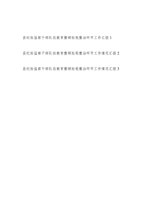 2023年7-8月县纪检监察干部队伍教育整顿检视整治环节工作情况汇报3篇.docx