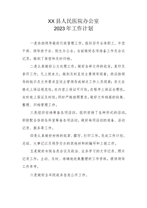 XX县人民医院办公室2023年工作计划.docx