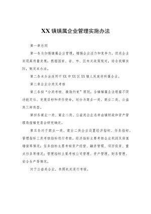 XX镇镇属企业管理实施办法.docx