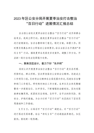 2023公安全力推进夏季治安打击整治“百日行动”情况汇报四篇.docx