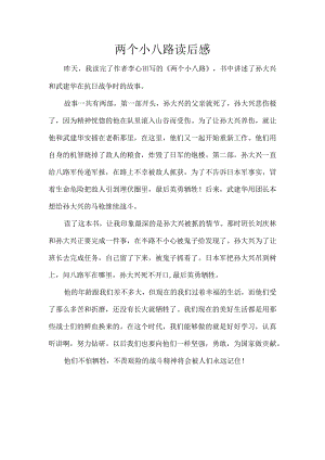 两个小八路读后感500字.docx
