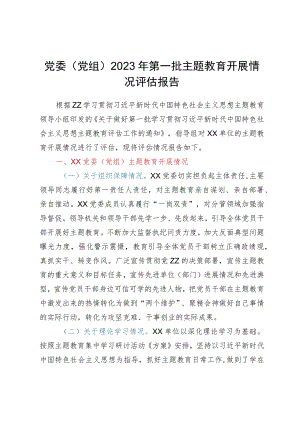 党委（党组）2023年第一批主题教育开展情况评估报告.docx