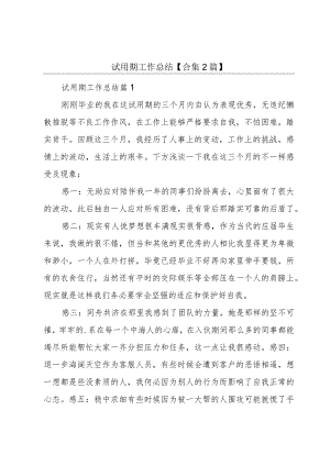 试用期工作总结【合集2篇】.docx