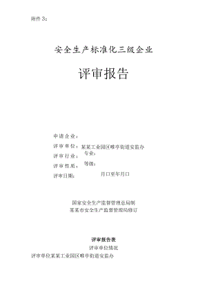 安全生产标准化评审报告.docx