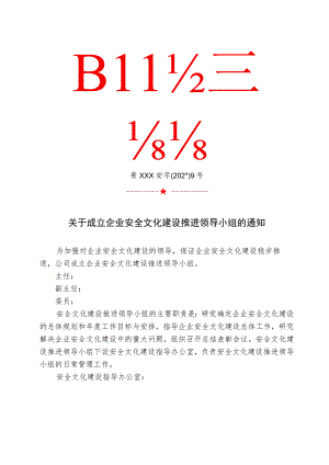 安全文化文件.docx