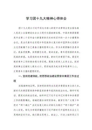 学习青年团第十九次全国代表大会精神的心得体会.docx