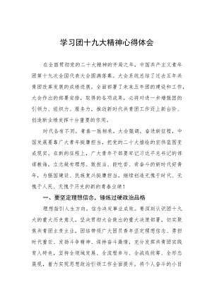 学习青年团第十九次全国代表大会精神心得体会.docx