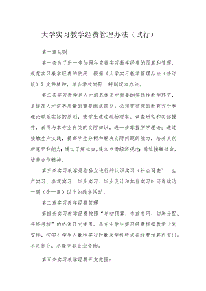 大学实习教学经费管理办法（试行）.docx