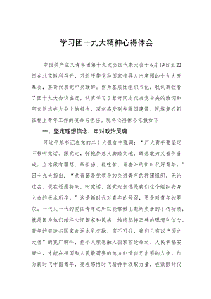 学习团十九大精神的心得体会.docx