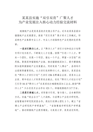 某某县实施“双引双育”广聚人才为产业发展注入核心动力经验交流材料.docx