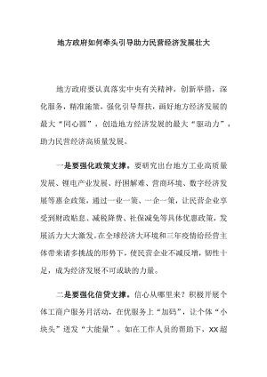 地方政府如何牵头引导助力民营经济发展壮大.docx